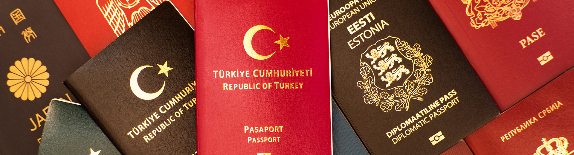 Pasaport Türleri ve Aralarındaki Farklar